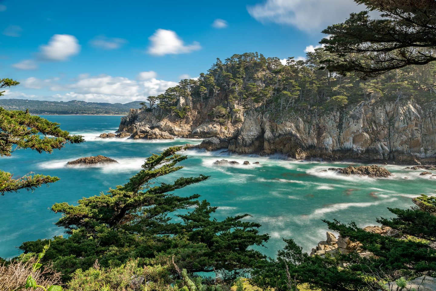 Point Lobos, Steilküste