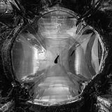 Loch im Dach der Notre-Dame