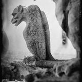 Grotesken der Notre Dame