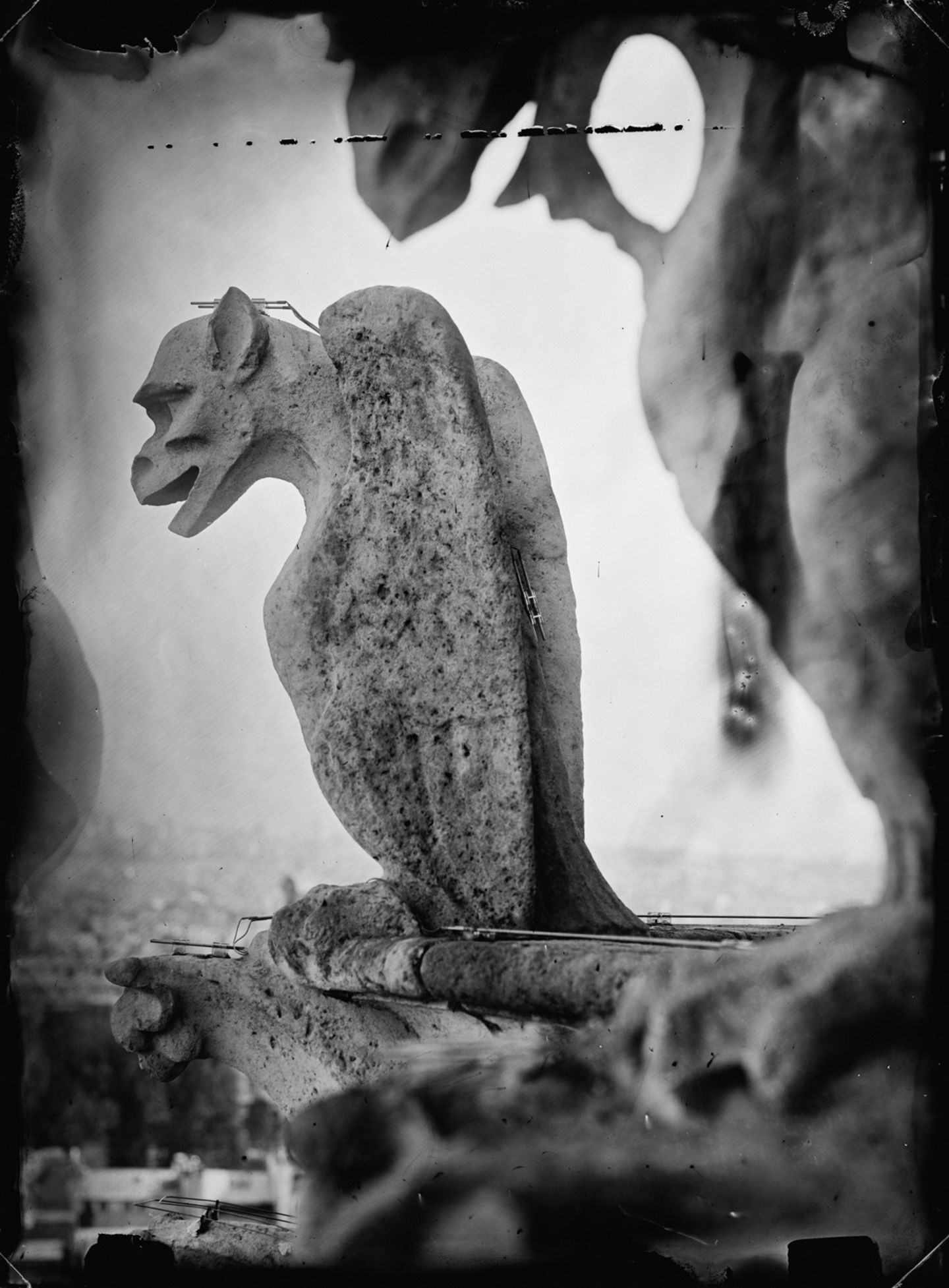 Grotesken der Notre Dame