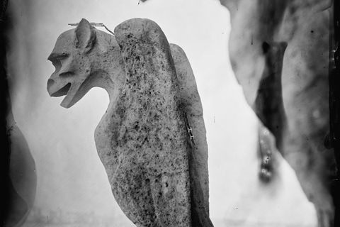 Grotesken der Notre Dame