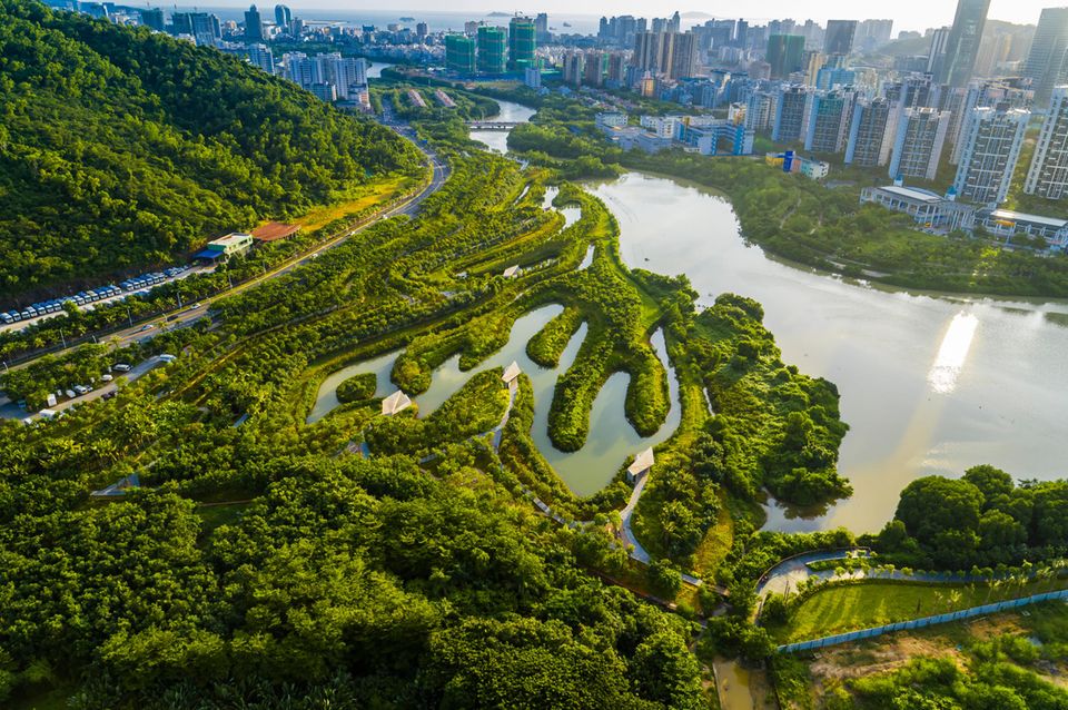 Stadtplanung: Schwammstadt: In der chinesischen Großstadt Sanya hält ein renaturierter Mangrovenwald Wasser zurück, das zuvor durch vermüllungsanfällige Betondämme kanalisiert wurde Schwammstadt: In der chinesischen Großstadt Sanya hält ein renaturierter Mangrovenwald Wasser zurück, das zuvor durch vermüllungsanfällige Betondämme kanalisiert wurde