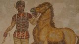 Diocles mit Pferd