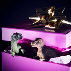 Eine Gabe folgt der Logik der Reziprozität: Auf ein Geschenk folgt ein Gegengeschenk. Keineswegs sollte man den anderen überbieten und mit einer zu großen Gabe in Verlegenheit bringen