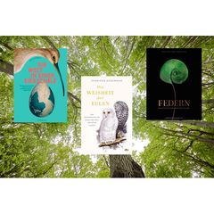 Drei Buchcover auf einem farbigen Hintergrund