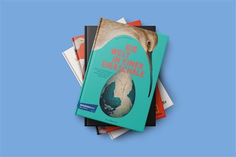 Vier Buchcover auf einem farbigen Hintergrund