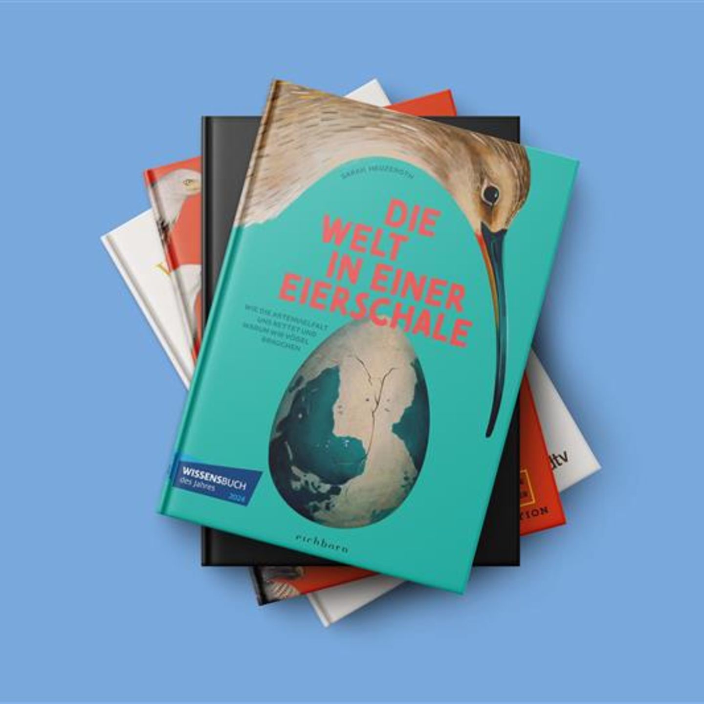 Vier Buchcover auf einem farbigen Hintergrund