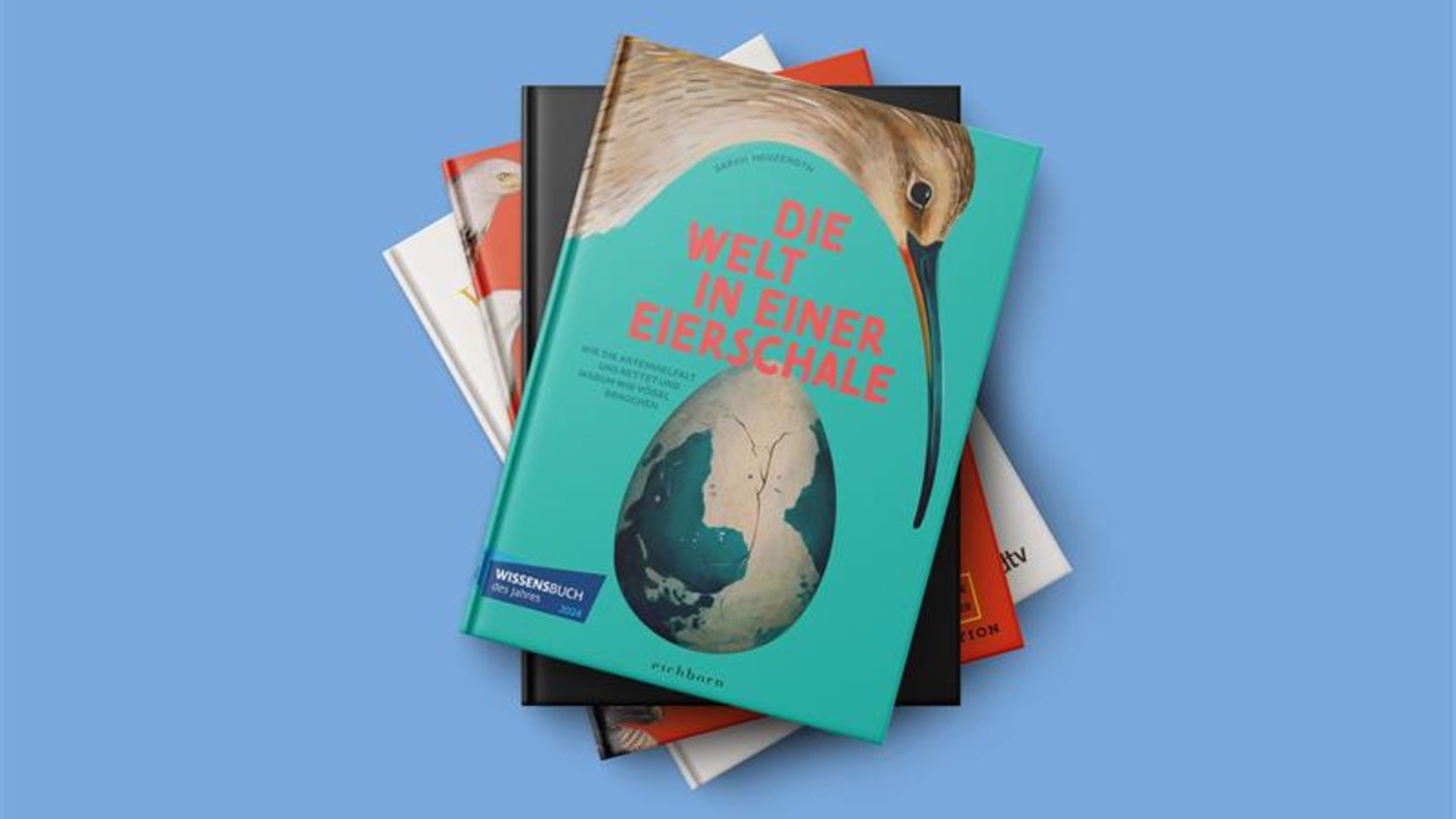 Vier Buchcover auf einem farbigen Hintergrund