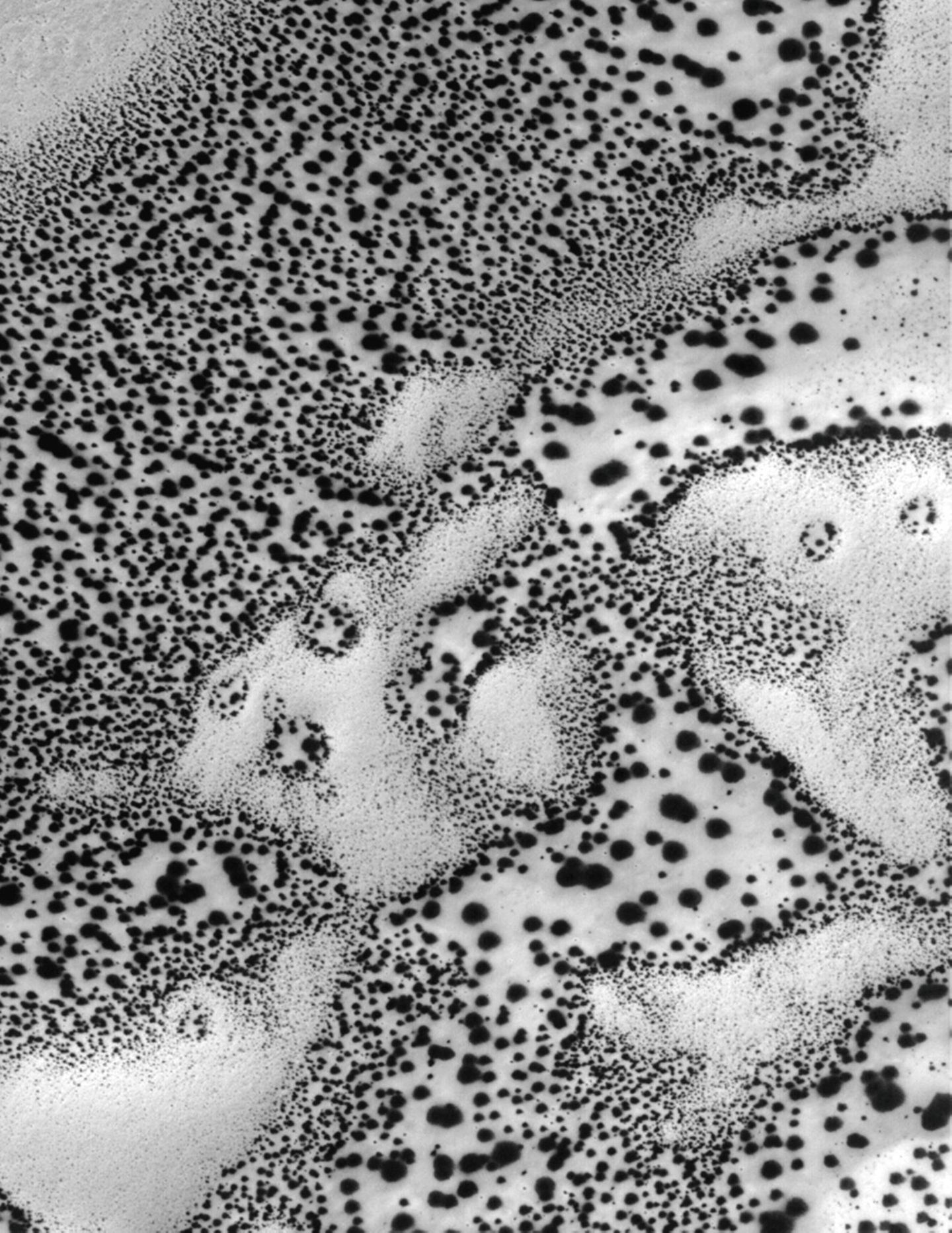 Der Winter weicht Bis heute gehören die Pole des Mars zu seinen am wenigsten erkundeten Regionen. Die NASA interessiert sich vor allem für sie, weil dort offenbar Wasser existiert. Noch im Frühjahr bedeckt heller Frost den Südpol, doch die dunklen Flecken werden mit steigender Temperatur größer. Dies zeigt sich auf Aufnahmen der Raumsonde Mars Global Surveyor, die Anfang der 2000er entstanden.