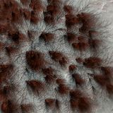 Wenn die jahreszeitlich bedingten Polkappen des Mars im Frühjahr abtauen, strömt unter Druck stehendes Gas unter das Eis, bis es durch Risse bricht und dunklen Sand mit sich führt. Die Sandablagerungen können netzartige Muster bilden, "Spinnen" genannt. Sie verschwinden, wenn sich der letzte Frost in die Atmosphäre aufgelöst hat.