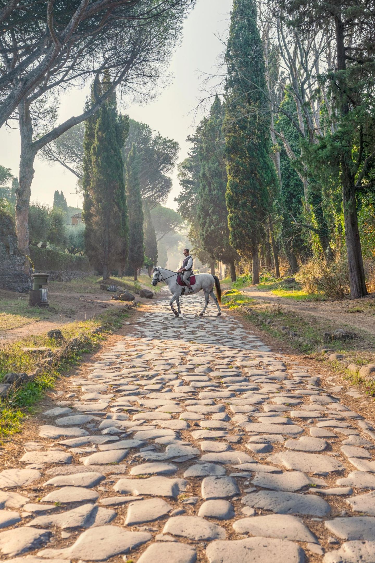 Reiter auf Schimmel auf der Via Appia Antica