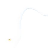 Zur Mittagszeit bei etwa 40 Grad im Schatten fotografierte Luca Lorenz eine Gruppe Flamingos in einem Schilfbeet in der Camargue. Unter diesen harten Lichtverhältnissen entsanden minimalistische Bilder, auf denen der Körper des Flamingos kaum zu erkennen ist. "Ich hatte diese Bildidee schon länger im Sinn, und die Sonne war einfach perfekt dafür", so Lorenz. "Das Bild habe ich mit starker Überbelichtung fotografiert, sodass nur die dunkelsten Teile des fast weiß gefiederten Flamingos sichtbar blieben. Dadurch konnte ich die ganze Aufmerksamkeit auf das goldene Auge des Tiers und die Unterseite seines eleganten Halses lenken, die im Schatten lag, da die Sonne direkt von oben schien."