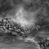 Ein eindrucksvolles Bild zeigt die Flussüberquerung einer Herde Gnus: Pauls Goldsteins Foto bildet die Körper der Tiere verschwommen in der Bewegung ab und fängt die fieberhafte Panik ein, welche diesen kritischen Moment begleitet. "Ich bin dankbar für das Tier im Hintergrund, das still stehen blieb, als Anker im Chaos des Bildes", so der Fotograf. "Ich habe vorher und nachher Tausende von Flussaufnahmen gemacht, konnte diesen Effekt aber nie annähernd reproduzieren."