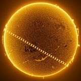 Durch die International Space Station (ISS). Den Transit der ISS über die Sonnenscheibe einzufangen sieht nicht nur spektakulär aus, es ist auch besonders schwer. Denn es ist nach 0,54 Sekunden wieder vorbei und weit von uns entfernt. Die ISS umkreist die Erde in 441,5 Kilometern Höhe. Noch mal über 100 Millionen Kilometer weiter weg befindet sich die Sonne. Miguel Claro schaffte es, den Moment einzufangen, in dem sich die Raumstation zwischen die beiden Himmelskörper schiebt. Dafür legte er 200 Bilder – innerhalb von zwei Sekunden geschossen – übereinander. Er nahm die Sequenz in Nordportugal Anfang Juni 2024 auf. Da war die ISS – sinnbildlich für die friedliche Zusammenarbeit seit den 1990er-Jahren – mit vier amerikanischen und drei russischen Astronauten besetzt.   KW 42