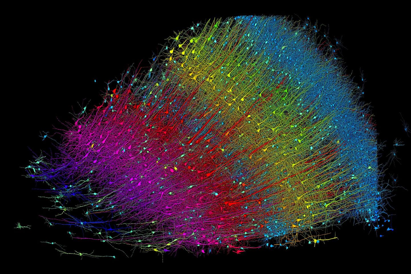 Grafische Darstellung von Gehirnzellen und Synapsen