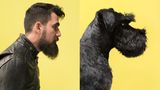 Cenk und Horst