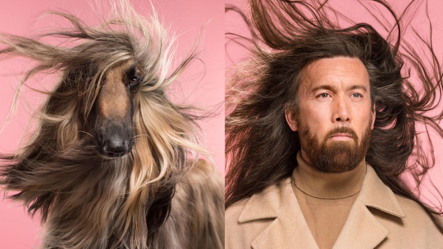 Hunde Die Aussehen Wie Ihre Besitzer Tierfotografie: Wie der Hund, so der Mensch: Wenn Vierbeiner wie ihre