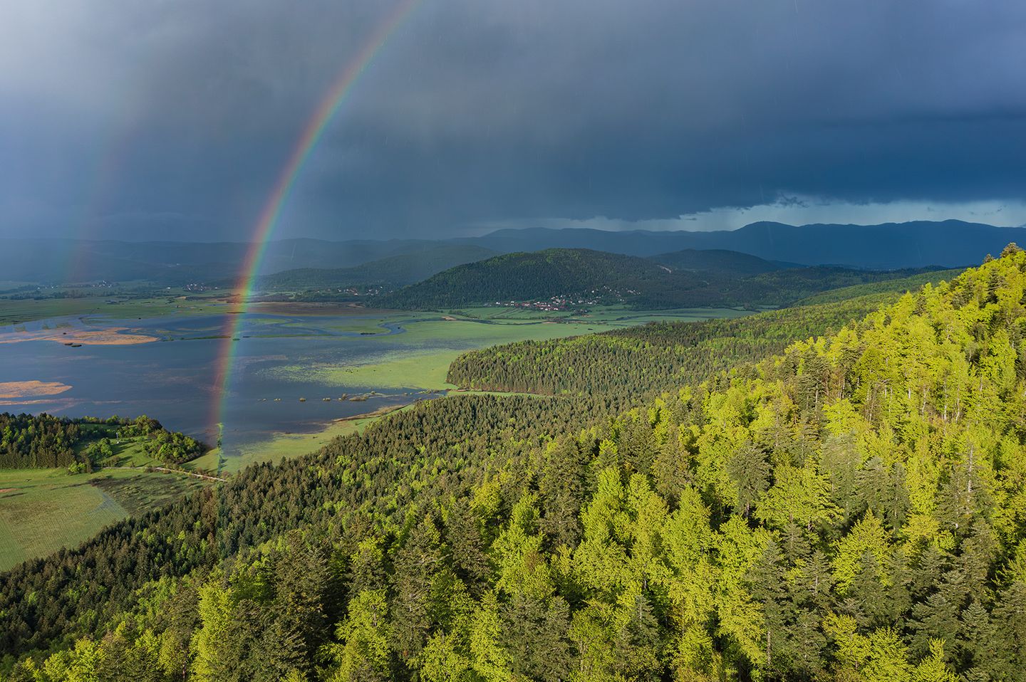 Im Hintergrund ein See, vorne Wald und ein Regenbogen
