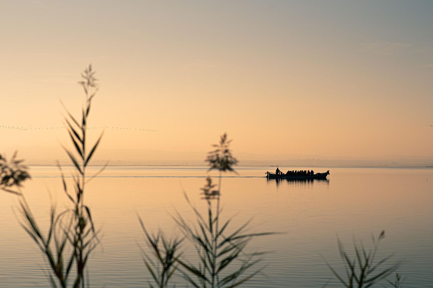 Erholung pur im Naturpark L'Albufera Holzsteg, der sich über eine Graßlandschaft schlängelt