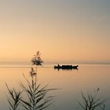 Holzsteg, der sich über eine Graßlandschaft schlängelt