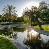 sommerlich, grüne Parkanlage, mit Palmen und Laubbäumen, die sich im Wasser des Flusses spiegeln.