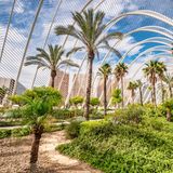 Palmen, die sich in Richtung des Gitterdachs und des Himmels strecken