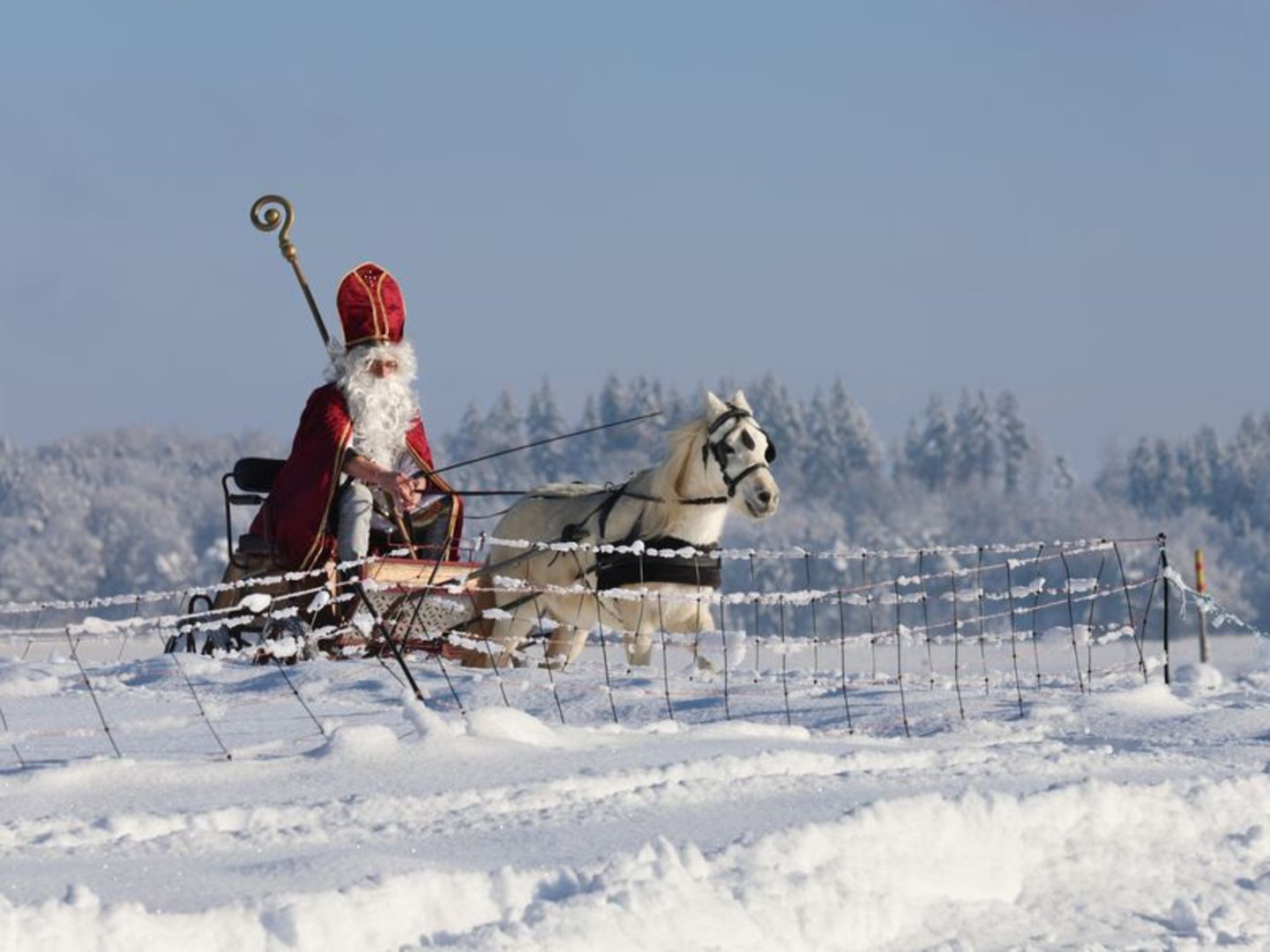 Nikolaus auf Pferdeschlitten in Winterlandschaft