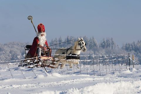 Nikolaus auf Pferdeschlitten in Winterlandschaft
