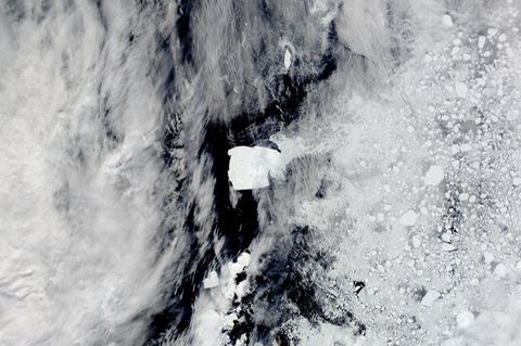 Der wohl größte Eisberg der Welt ist Jahrzehnte nach seinem Abbrechen vom antarktischen Schelfeis auf dem Weg nach Norden. Foto: