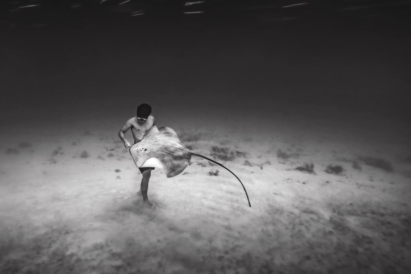 In ihrem Element Im warmen Wasser des Südpazifiks treffen sich zwei Nachbarn: Ein Stachelrochen streift spielerisch den Freitaucher Titouan Bernicot. Der zählt das Meer vor Französisch-Polynesien zu seinem Zuhause. Und das schützt er, wo er kann. Seine Organisation "Coral Gardeners" setzt Korallen ins Riff, um es zu retten. Das Bild stammt aus dem Buch "Hope" der Fotografin und Meeresbiologin Cristina Mittermeier. Ihr Ziel ist es, die Schönheit und Vielfalt der Natur einzufangen – und die Weisheit derjenigen Gemeinschaften, die ihre Umwelt seit Jahrtausenden ehren und bewahren.