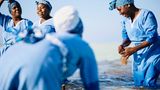 An der Ostküste von Sansibar kultivieren die "Mwani Mamas" Algen. Mwani ist der Name der ersten von Frauen betriebenen Algenfarm der Inselgruppe. Sie verschafft ihnen ein eigenes Einkommen und damit mehr Unabhängigkeit. Extrakte aus Algen sind begehrt: Sie kommen unter anderem in Lebensmitteln, Kosmetika, Medikamenten und der Textilbranche zum Einsatz. Manchen Männern war die Tatkraft der Algenfarmerinnen zuerst suspekt. Doch die Kritik verstummte schnell, als die Algenfarm bessere Lebensbedingungen für alle schuf.