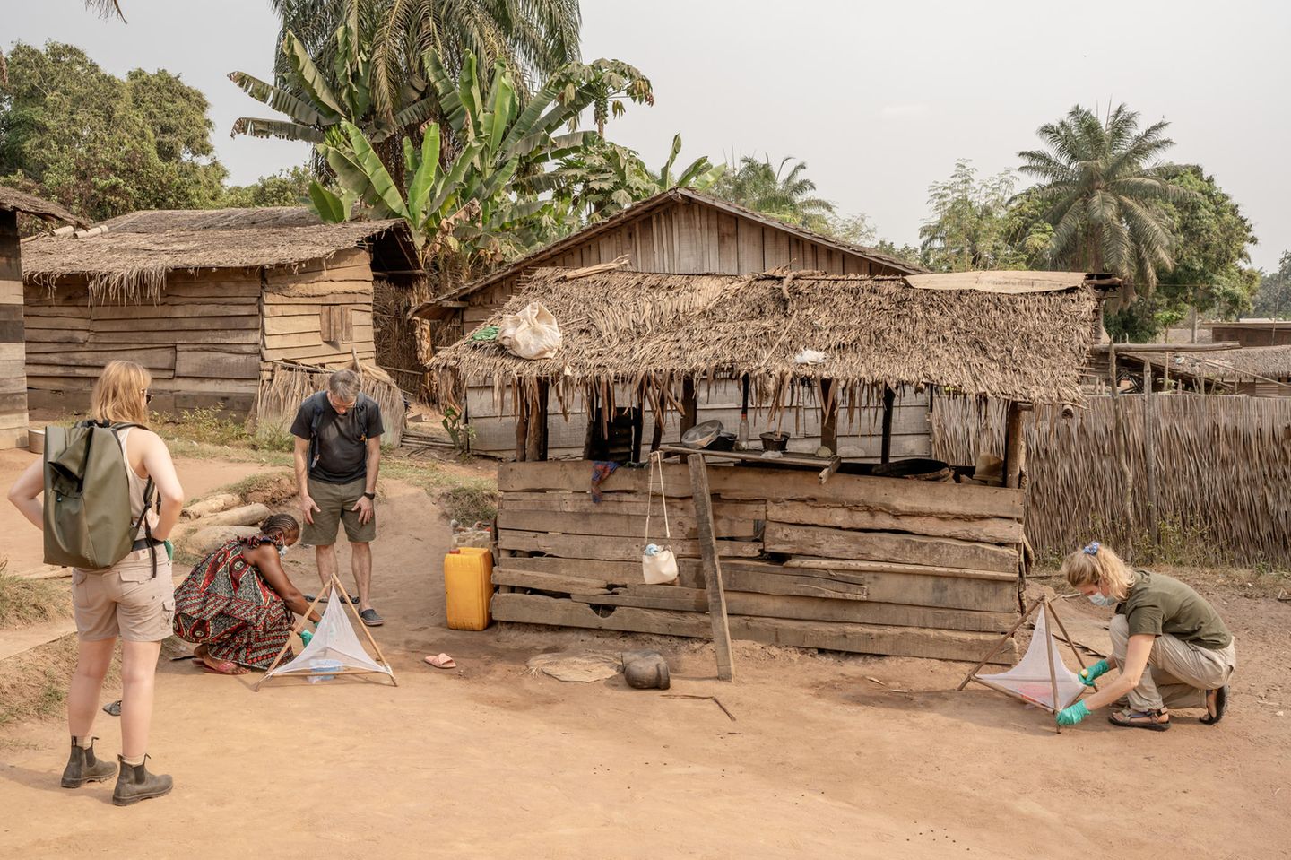 Aufs Ganze gehen Ebolafieber, Aids, Covid-19: Um zu verstehen, wie ein Erreger aus dem Tierreich eine Seuche entfesselt, braucht es den weiten Blick. Deshalb startet der Veterinär Fabian Leendertz in Zentralafrika ein Forschungsprojekt, das Jahrzehnte dauern wird – und erstmals so umfassend Mensch, Tier und Umwelt zugleich untersucht. Sein Team analysiert Kadaver, nimmt Speichelproben von Fledermäusen, dokumentiert den Umgang der Einheimischen mit erlegten Tieren oder präpariert, wie hier, Fliegenfallen. Wenn die Insekten sich auf Aas und Kot setzen, sammeln sie fremde DNA ein. So verraten sie, welche Tiere in einem Ökosystem leben. In der Siedlung können die Forschenden mithilfe der Brummer auch menschliche Exkremente untersuchen. Die GEO-Geschichte von Jörn auf dem Kampe lesen Sie hier.