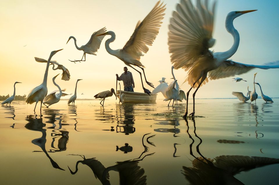 Vor 20 Jahren fotografierte Moisés Levy zum ersten Mal in einem Fischerdorf bei Acapulco. Bald bemerkte er, dass Fischer und Reiher ein Ritual teilten. Wenn die Männer bei Sonnenaufgang vom Meer zurückkehrten, erwarteten sie die Reiher – und forderten ihr Frühstück. Bis heute fotografiert Levy hier Momente der Innigkeit zwischen Mensch und Tier.