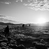 Seit Jahren folgt Fotograf Nicolò Filippo Rosso in Lateinamerika Menschen, die ihre Heimat verlassen, um in der Fremde ihr Glück zu suchen. Der Altiplano, eine Hochebene in den Anden, ist trocken und kalt, aber weniger gut bewacht als die Routen weiter im Süden. Viele Tausend Menschen, vor allem aus Venezuela, wandern deshalb jährlich auf über 3000 Meter Höhe von Bolivien nach Chile, einem der reichsten Länder des Subkontinents.  Die GEO-Geschichte von Roberto Lovato lesen Sie hier.