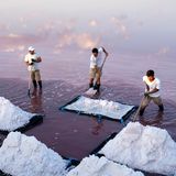 Ohne Salz kann keine Körperzelle funktionieren, gäbe es keine Gummistiefel, wären manche Städte nie reich geworden. Seit Jahrtausenden schürft und erntet der Mensch das Mineral in Bergen und Meeren. Während mancherorts Bagger, Fräsen und Förderbänder unterirdische Salzadern ausbeuten, wird Fleur de Sel in der Camargue noch von Hand gewonnen. Nur wenn die Tage heiß und windig sind, setzen sich die zarten Salzkristalle ab. Der Mistral schiebt sie zu einer Kruste zusammen, die sich am Salinenrand bildet. In der Vergangenheit waren die Flocken dem König vorbehalten.