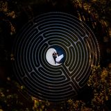 Brautpaar liegt auf einer Lichtung