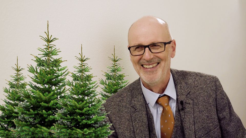 Ökologie: Plastik vs. echt: Peter Wohlleben, welcher Weihnachtsbaum ist nachhaltiger?