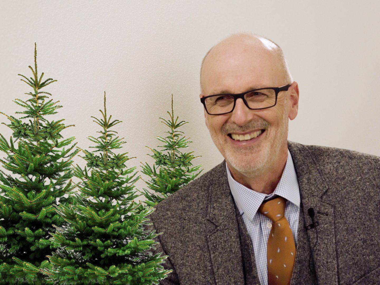 Weihnachtsbaum: Plastik oder echt? - [GEO]