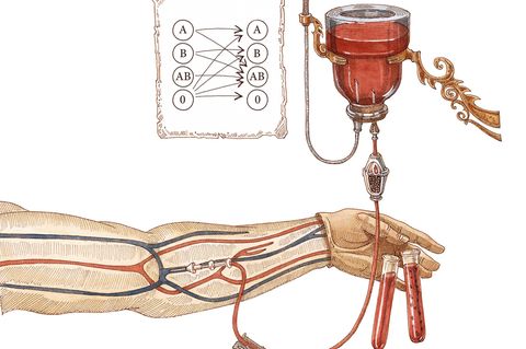 Blut fließt durch Arm