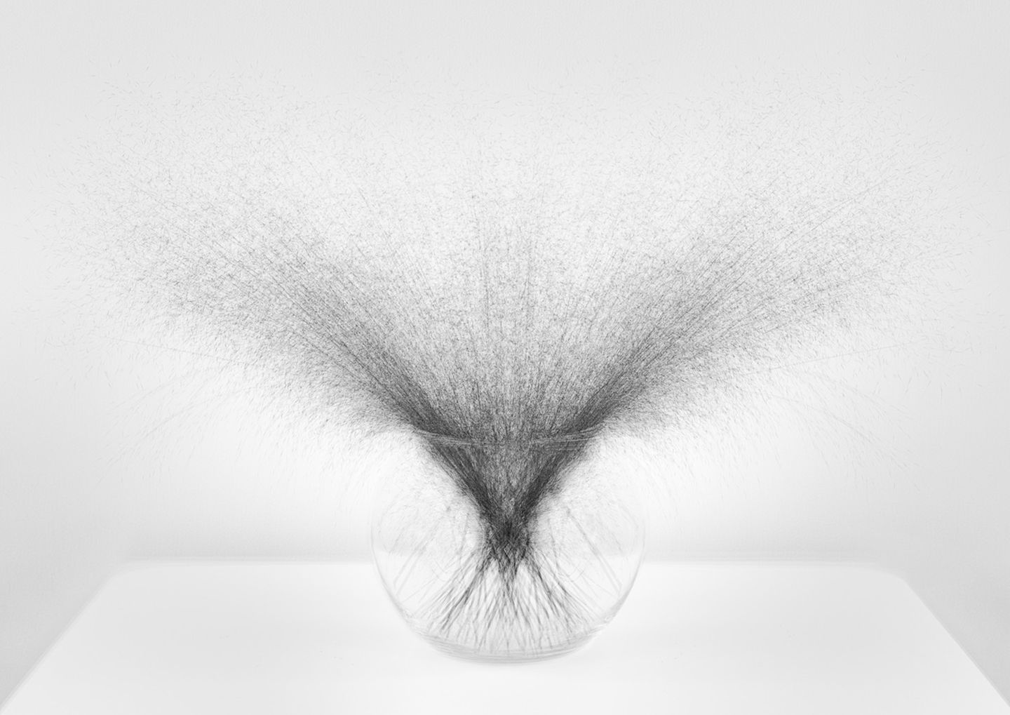 Gräser in einer Vase