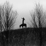 Mensch steht auf Pferdrücken