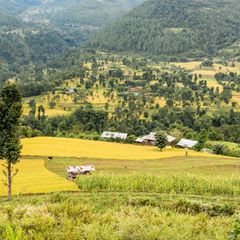 Landschaft mit Reisterrassen