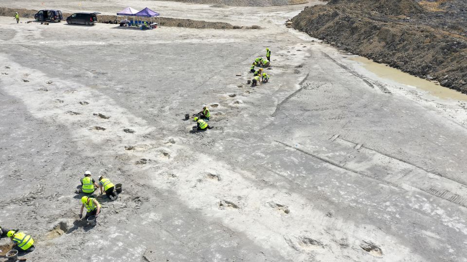 Der Steinbruch Oxfordshire Quarry Group liegt nordwestlich von London. Hier wurden die gigantischen Spuren entdeckt. 