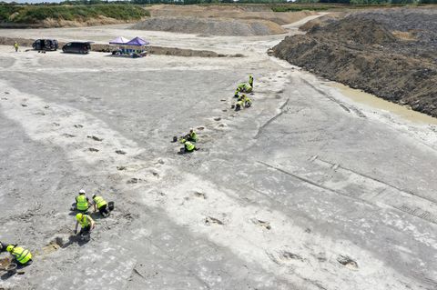 Der Steinbruch Oxfordshire Quarry Group liegt nordwestlich von London. Hier wurden die gigantischen Spuren entdeckt. 