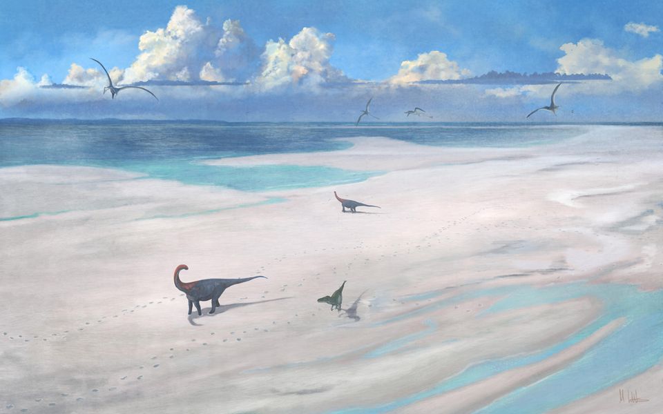 Der Megalosaurus und Cetiosaurus sind wohl nicht gleichzeitig durch die Lagune gewandert, wie es diese Illustration zeigt. Dennoch könnte so die Landschaft ausgesehen haben durch die sie vor 166 Millionen Jahren zogen. 