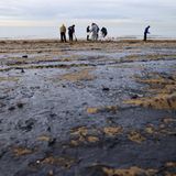 Naturkatastrophe durch Schweröl am Schwarzen Meer