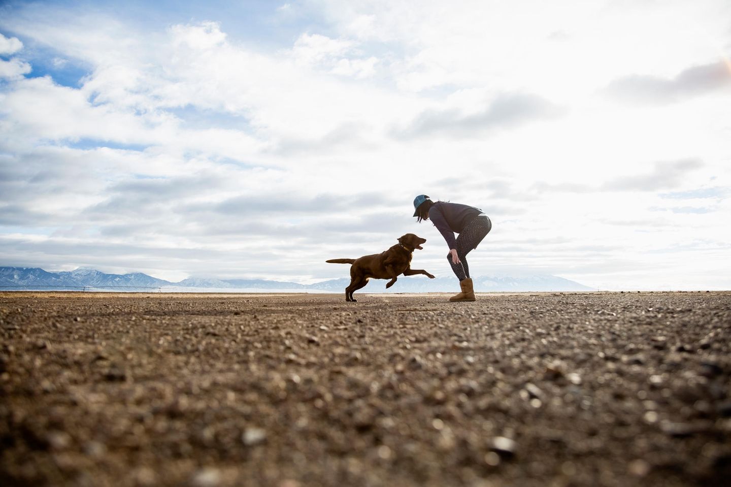 Frau und brauner Labrador spielen gemeinsam am Strand.