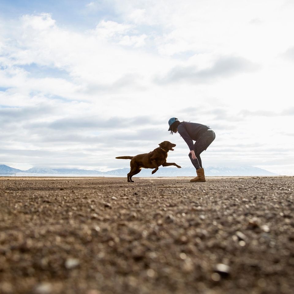 Frau und brauner Labrador spielen gemeinsam am Strand.