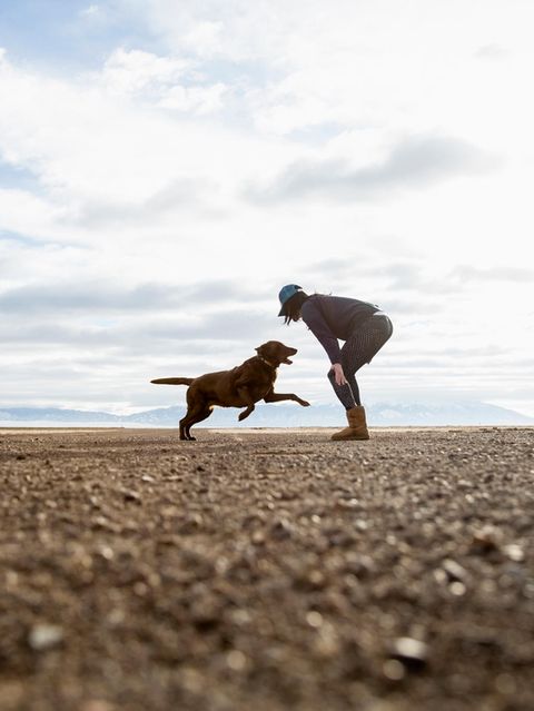 Frau und brauner Labrador spielen gemeinsam am Strand.