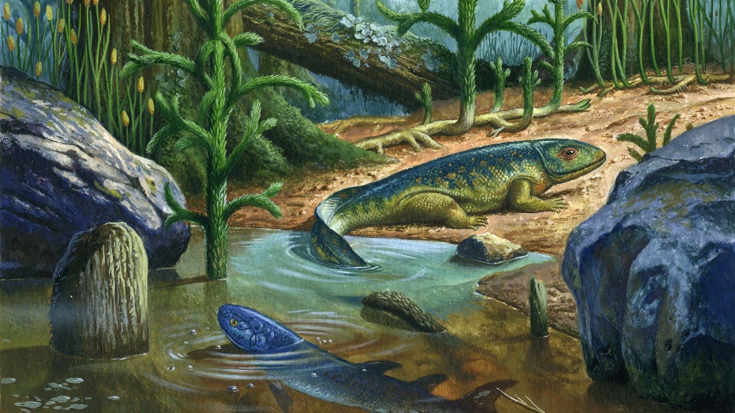 Ichthyostega (Bildmitte), ein Vorfahr der Amphibien, war vor rund 360 Millionen Jahren eines der ersten Wirbeltiere, das auf Füßen das Land eroberte